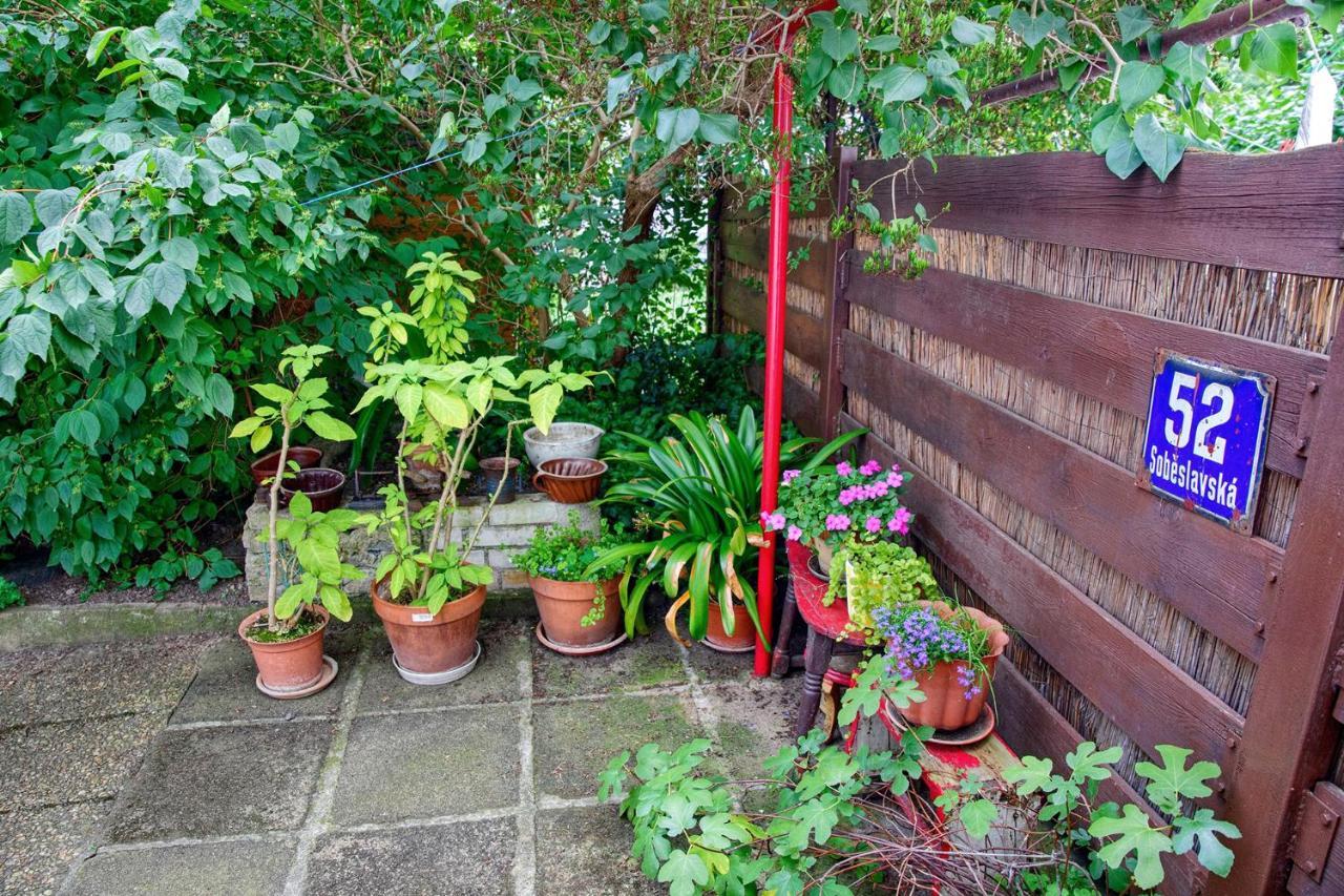 Garden In The Appartement *